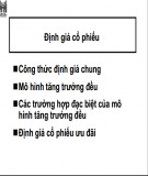 Bài giảng Định giá cổ phiếu (2009)