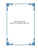 BÁO CÁO BẠCH: CÔNG TY CỔ PHẦN DIC SỐ 4 