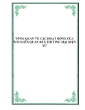 TỔNG QUAN VỀ CÁC HOẠT ĐỘNG CỦA WTO LIÊN QUAN ĐẾN THƯƠNG MẠI ĐIỆN TỬ