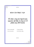 Đề tài luận văn tốt nghiệp “Tổ chức công tác hạch toán nguyên vật liệu ở công ty Cổ phần may Hồ Gươm”