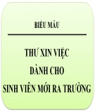 Mẫu thư xin việc dành cho sinh viên mới ra trường