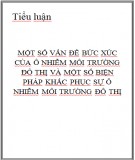 Tiểu luận: Một số vấn đề bức xúc của ô nhiễm môi trường đô thị và một số biện pháp khắc phục sự ô nhiễm môi trường đô thị