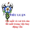 Tiểu luận “Lãi suất và vai trò của lãi suất trong việc huy động vốn”