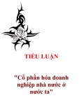 Tiểu luận "Cổ phần hóa doanh nghiệp nhà nước ở nước ta"