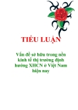 Tiểu luận "Vấn đề sở hữu trong nền kinh tế thị trường định hướng XHCN ở Việt Nam hiện nay"