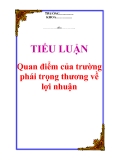 Tiểu luận "Quan điểm của trường phái trọng thương về lợi nhuận"