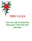 Tiểu luận "Nạn sản xuất và buôn bán hàng giả ở Việt Nam thời gian qua"