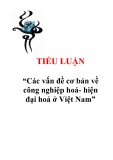 Tiểu luận “Các vấn đề cơ bản về công nghiệp hoá- hiện đại hoá ở Việt Nam”