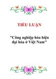 Tiểu luận "Công nghiệp hóa hiện đại hóa ở Việt Nam"