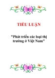 Tiểu luận "Phát triển các loại thị trường ở Việt Nam"