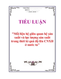 Tiểu luận "Mối liện hệ giữa quan hệ sản xuất và lực lượng sản xuất trong thời kì quá độ lên CNXH ở nước ta"