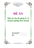 Đề án "Một số vấn đề pháp lý về doanh nghiệp liên doanh"