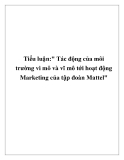 Tiểu luận:" Tác động của môi trường vi mô và vĩ mô tới hoạt động Marketing của tập đoàn Mattel"