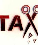 Chính sách thuế ưu đãi đầu tư