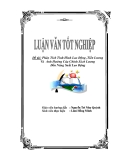 Phân Tích Tình Hình Lao Động , Tiền Lương   Và  Ảnh Hưởng Của Chính Sách Lương Đến Năng Suất Lao Động