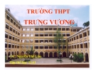 Các giai đoạn chính trong quá trình phát sinh loài người