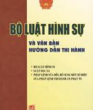 Văn bản Luật hình sự