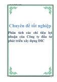 Chuyên đề tốt nghiệp: Phân tích các chỉ tiêu lợi nhuận của Công ty đầu tư phát triển xây dựng DIC