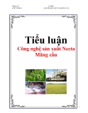 Tiểu luận: Công nghệ sản xuất Necta Mãng cầu