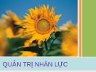 Báo cáo quản trị nhân lực: Quan hệ lao động