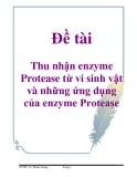 Đề tài: Thu nhận enzyme Protease từ vi sinh vật và những ứng dụng của enzyme Protease