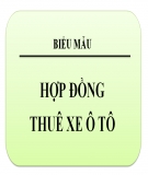 Mẫu Hợp đồng thuê xe ô tô