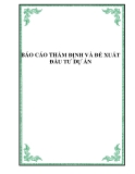 BÁO CÁO THẨM ĐỊNH VÀ ĐỀ XUẤT ĐẦU TƯ DỰ ÁN
