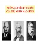 Hệ thống câu hỏi học phần: Những nguyên lý cơ bản của Chủ nghĩa Mác - Lênin