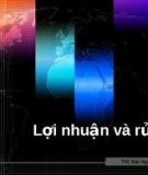 LỢI NHUẬN VÀ RỦI RO