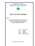 Luận văn: Đánh giá tình hình hoạt động của trung tâm phát triển quỹ đất thành phố Hồ Chí Minh