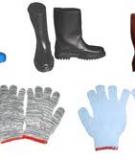 Đề cương ôn tập môn Bảo hộ lao động