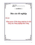 Luận văn đề tài : Tổng quan về đa dạng sinh học là nền tảng của nông nghiệp bền vững