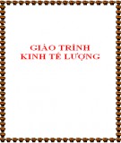 Giáo trình Kinh tế lượng