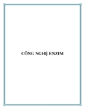 CÔNG NGHỆ ENZIM