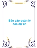 Báo cáo quản lý các dự án