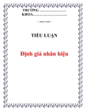 Tiểu luận:  Định giá nhãn hiệu