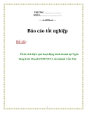 Báo cáo tốt nghiệp:  "Phân tích hiệu quả hoạt động kinh doanh tại Ngân hàng Liên Doanh INDOVINA chi nhánh Cần Thơ"