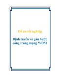 Đồ án tốt nghiệp "Định tuyến và gán bước sóng trong mạng WDM"