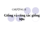 Bài giảng Giống và Công tác giống lợn