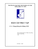 Báo cáo thực tập  Mạng thông tin di động GSM