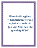 Báo cáo tốt nghiệp "Phân tích thực trạng  ngành sản xuất lúa gạo Việt Nam sau khi gia nhập WTO"