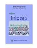 Giáo trình Sinh học phân tử