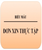 Đơn xin thực tập