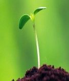 5 sai lầm “chết người” lúc khởi sự kinh doanh