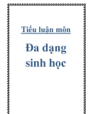 Luận văn đề tài : Điều tra nghiên cứu định lượng đa dạng sinh học thực vật thân gỗ ở Khu Bảo tồn thiên nhiên Núi Ông tỉnh Bình Thuận