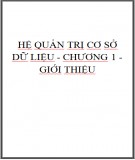Hệ quản trị cơ sở dữ liệu - Chương 1 - Giới thiệu