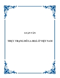 Luận văn "Hiện tượng đô la hóa ở Việt Nam"