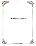 Báo cáo đề tài "Tìm hiểu WAP và công cụ tìm kiếm hỗ trợ thiết bị di động"