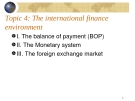 The international finance environment