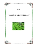 Đề tài " mô hình sản xuất rau "